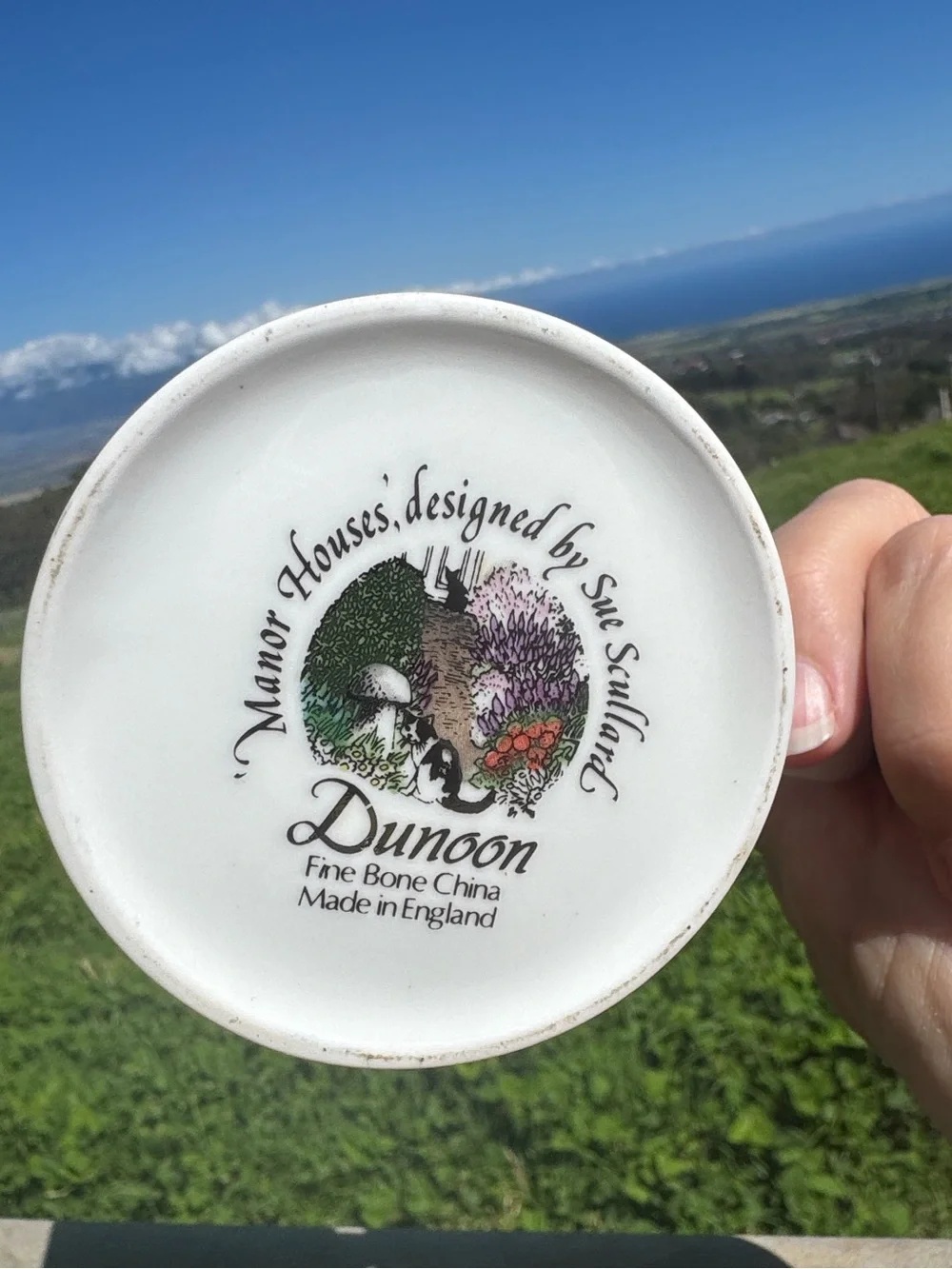 Dunoon Village Greens Fine China Coffee Tea Mug Sue Scullard England Cottage